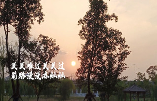 學前教育係資助育人係列活動